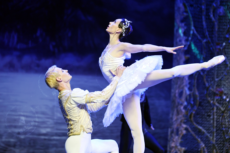 视频|俄罗斯皇家芭蕾舞团《天鹅湖》在更俗剧院上演