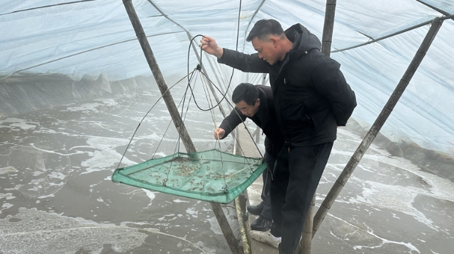 渔技人员现场“把脉”支招 助农应对雨雪冰冻天气